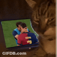 Cat Watching TV With Man In Blue Vest GIF