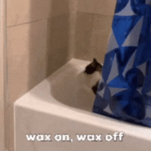 Cat Wax On Wax Off In Bath Tub GIF