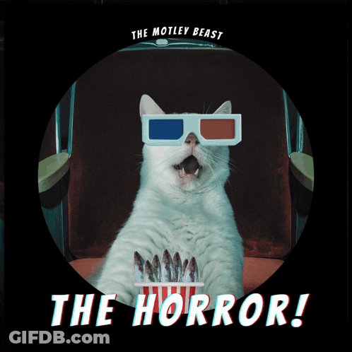 Cat Wearing 3D Glasses Eating Popcorn The Horror GIF