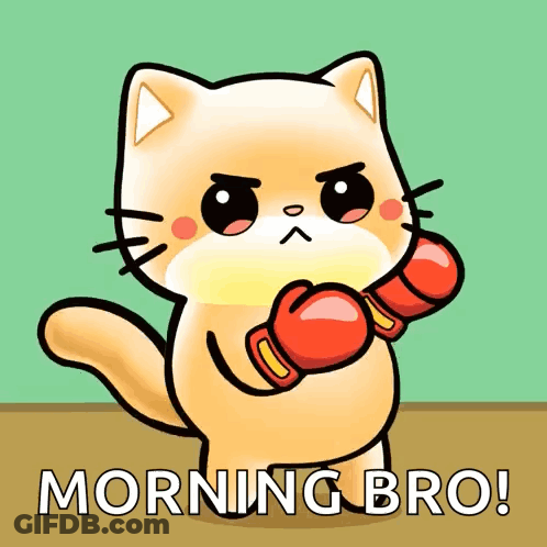 Cat Wearing Boxing Gloves With Morning Bro GIF