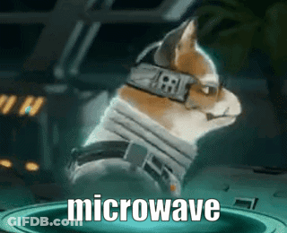 Cat Wearing Collar Saying Microwave GIF