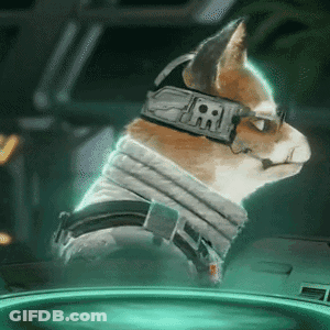 Cat Wearing Collar Saying RR GIF