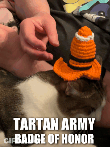 Cat Wearing Crocheted Hat Tartan Army Badge Of Honor GIF