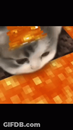 Cat Wearing Crown Close Up GIF