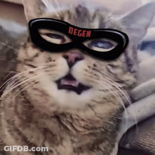 Cat Wearing Degen Mask GIF