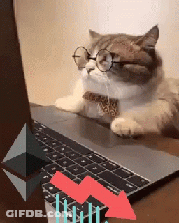Cat Wearing Glasses And Bow Tie Laying On Laptop GIF