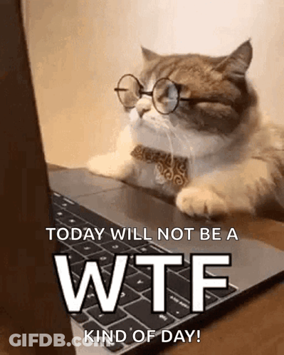 Cat Wearing Glasses And Bow Tie Typing GIF