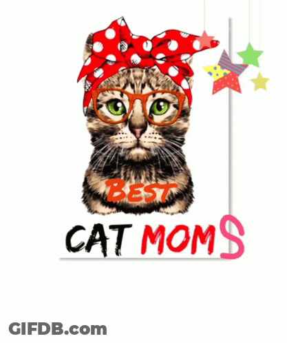 Cat Wearing Glasses And Red Headband Best Cat Moms October GIF