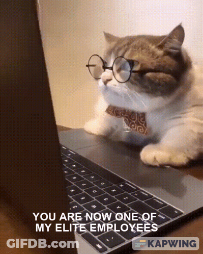 Cat Wearing Glasses And Tie Looking At Laptop GIF