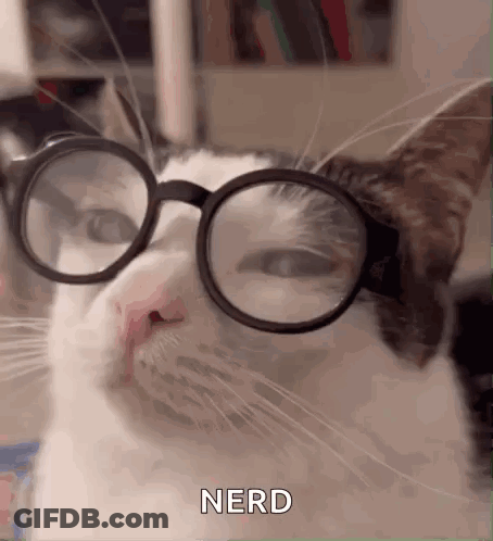 Cat Wearing Glasses Saying Nerd GIF
