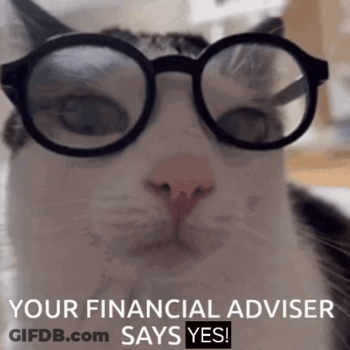 Cat Wearing Glasses Says Yes GIF