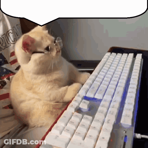 Cat Wearing Glasses Sitting In Front Of Keyboard GIF