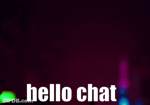Cat Wearing Harness With Hello Chat GIF