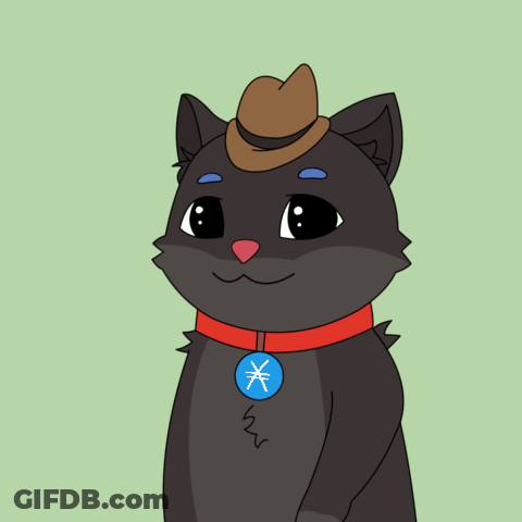 Cat Wearing Hat And Collar With Blue Circle GIF