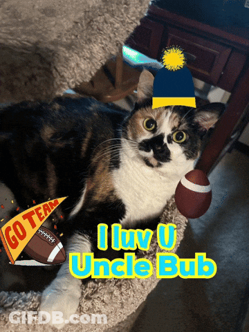 Cat Wearing Hat And Holding Football I Love U Uncle Bub GIF