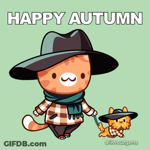Cat Wearing Hat And Scarf Walking Cat On Leash GIF