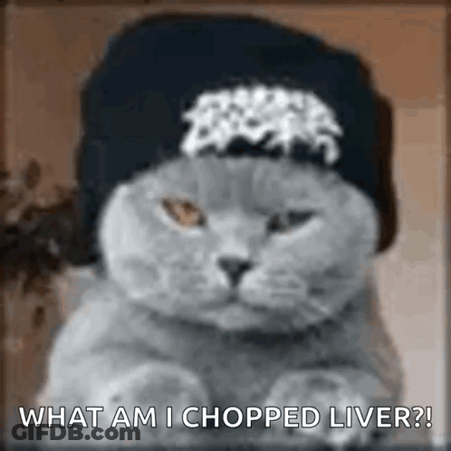 Cat Wearing Hat Asking What Am I Chopped Liver GIF