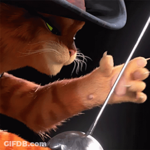 Cat Wearing Hat Holding Sword GIF