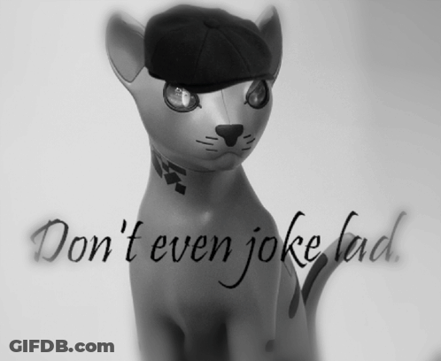 Cat Wearing Hat Saying Don't Even Joke Lad GIF