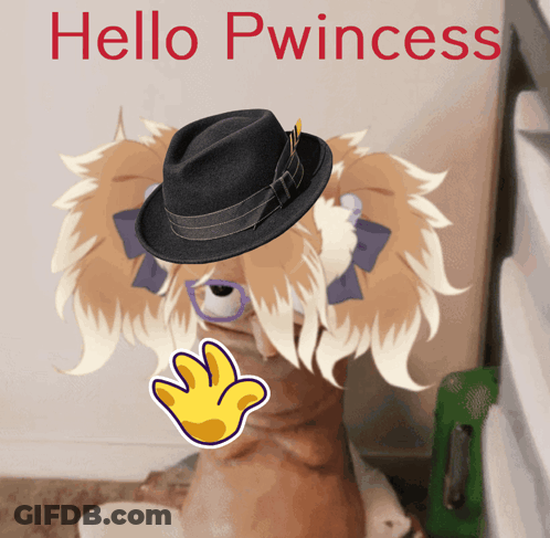 Cat Wearing Hat Saying Hello Princess GIF