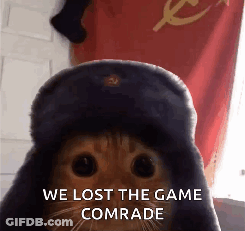 Cat Wearing Hat With We Lost The Game Comrade GIF