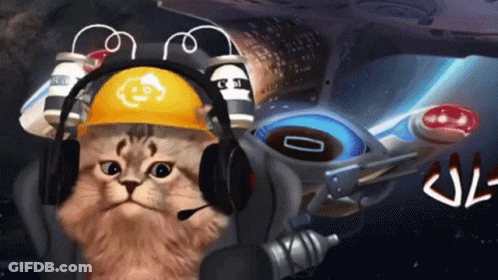 Cat Wearing Headphones And Hard Hat GIF