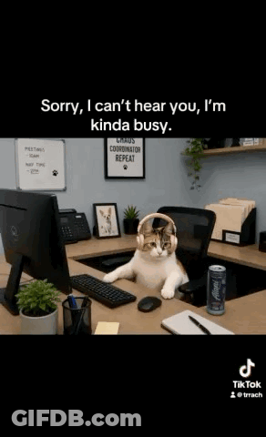 Cat Wearing Headphones At Desk GIF