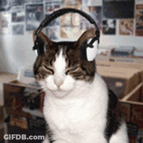 Cat Wearing Headphones In Front Of Record Player GIF