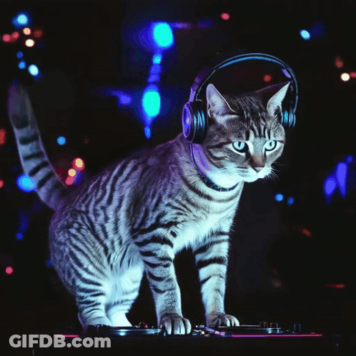 Cat Wearing Headphones On DJ Turntable GIF