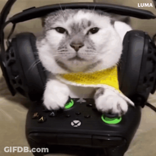 Cat Wearing Headphones Playing Video Game Controller GIF