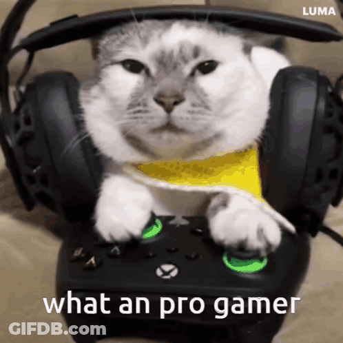 Cat Wearing Headphones Playing Video Game GIF