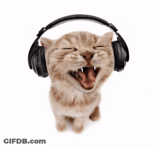 Cat Wearing Headphones With Mouth Open And Eyes Closed GIF