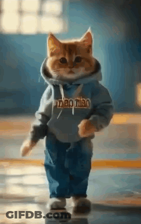 Cat Wearing Hoodie And Jeans Walking Down Hallway GIF