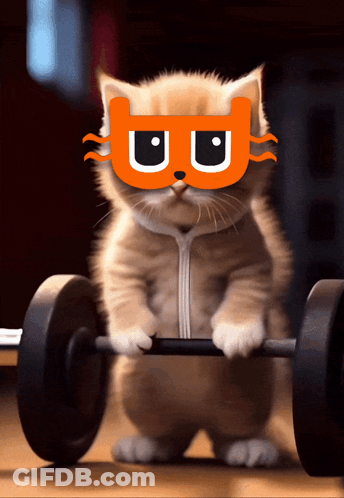 Cat Wearing Mask Holding Barbell GIF