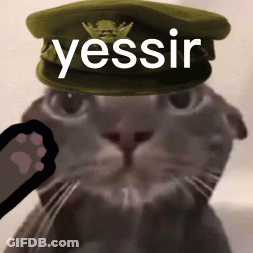 Cat Wearing Military Hat Saying Yessir GIF