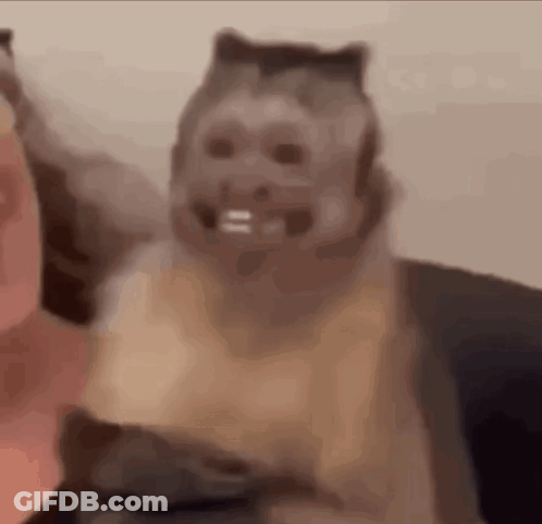 Cat Wearing Monkey Mask Close Up GIF