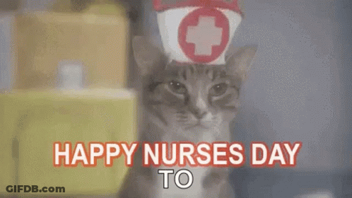 Cat Wearing Nurse Hat And Cap GIF