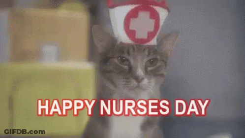 Cat Wearing Nurse Hat Happy Nurses Day GIF