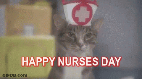 Cat Wearing Nurse Hat Happy Nurses Day GIF