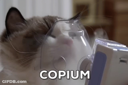 Cat Wearing Oxygen Mask Copium GIF