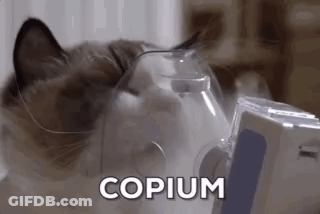 Cat Wearing Oxygen Mask With Copium GIF