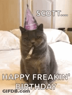 Cat Wearing Party Hat And Smoking GIF