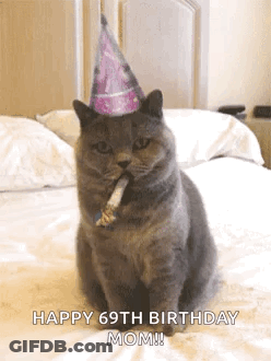 Cat Wearing Party Hat Blowing Horn GIF