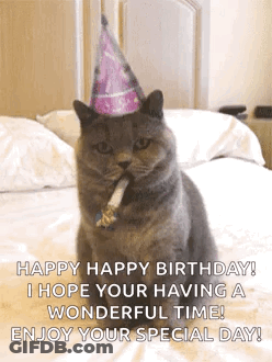 Cat Wearing Party Hat Blowing Party Horn GIF