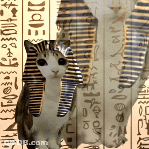 Cat Wearing Pharaoh Hat With Egyptian Writing GIF