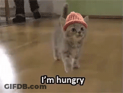Cat Wearing Pink Hat Walking On Wooden Floor GIF