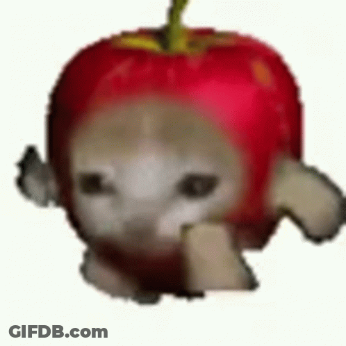Cat Wearing Red Apple Hat GIF