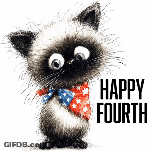 Cat Wearing Red White Blue Scarf Happy Fourth GIF