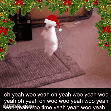 Cat Wearing Santa Hat Surrounded By Christmas Trees GIF