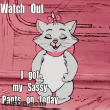 Cat Wearing Sassy Pants GIF